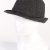 Vintage Luxury Fashion Trilby Hat